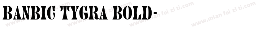 BanBic TYGRA Bold字体转换